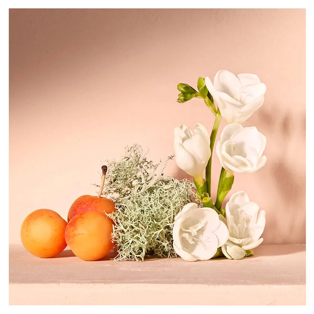 Nomade Chloé - Damenparfum - Eau de Parfum